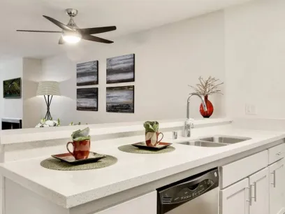 property for rent #2