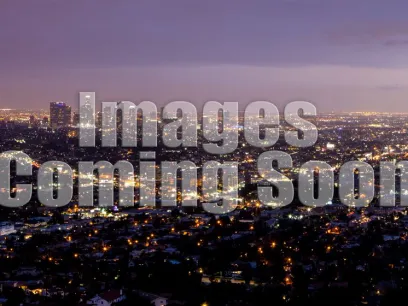 property for rent #1