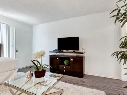 property for rent #5