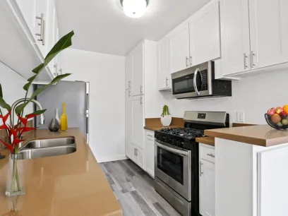 property for rent #4