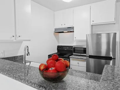 property for rent #5