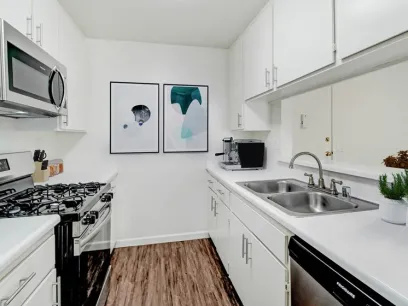 property for rent #1