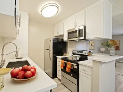 property for rent #1