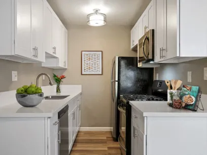 property for rent #1