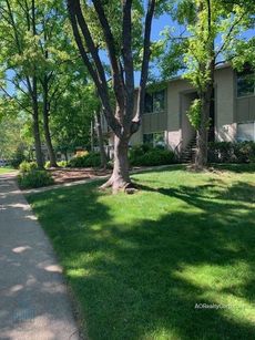 property for rent #1