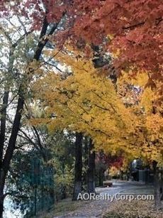 property for rent #1