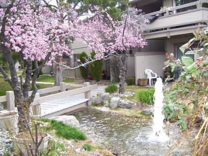 property for rent #4