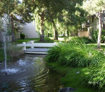 property for rent #3