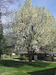 property for rent #1