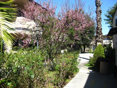 property for rent #3