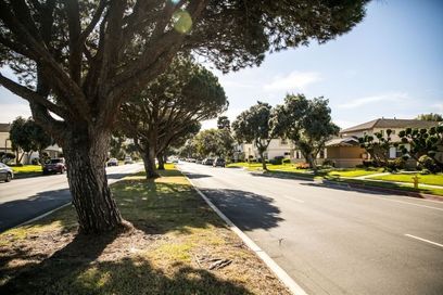 property for rent #3