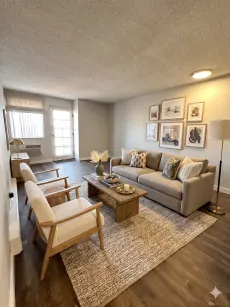 property for rent #2