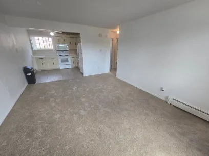 image unit 1