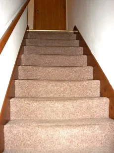 property for rent #5