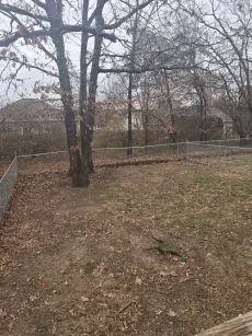 property for rent #5