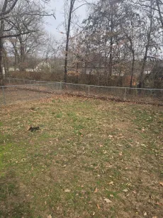 property for rent #6