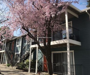 property for rent #1