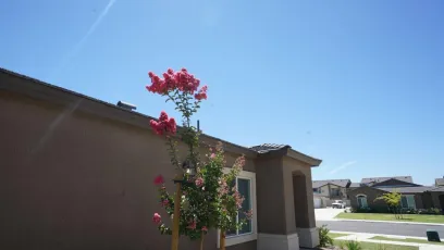 property for rent #5