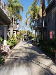 property for rent #3