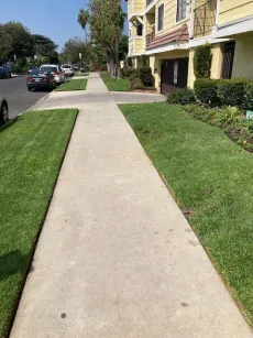 property for rent #2