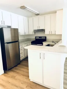 property for rent #4