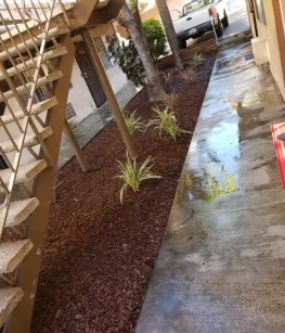 property for rent #4