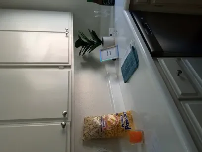 property for rent #1