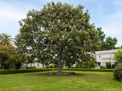 property for rent #5