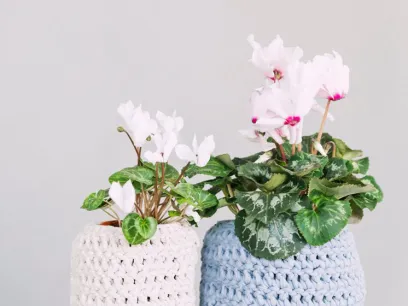 property for rent #7