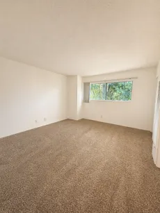 property for rent #5