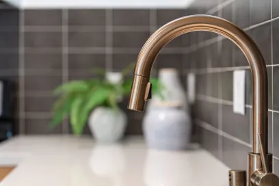 property for rent #3