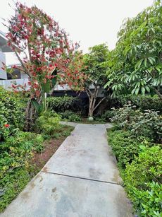 property for rent #3