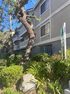 property for rent #1