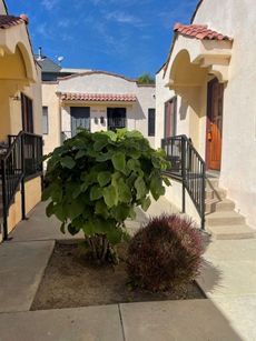 property for rent #1