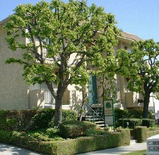 property for rent #1
