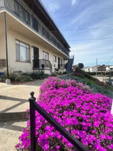 property for rent #1