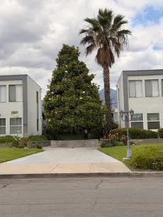 property for rent #1