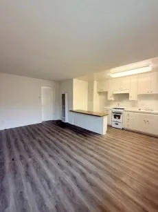 property for rent #4