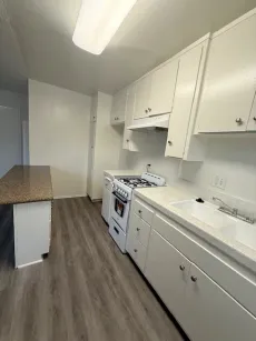 property for rent #7